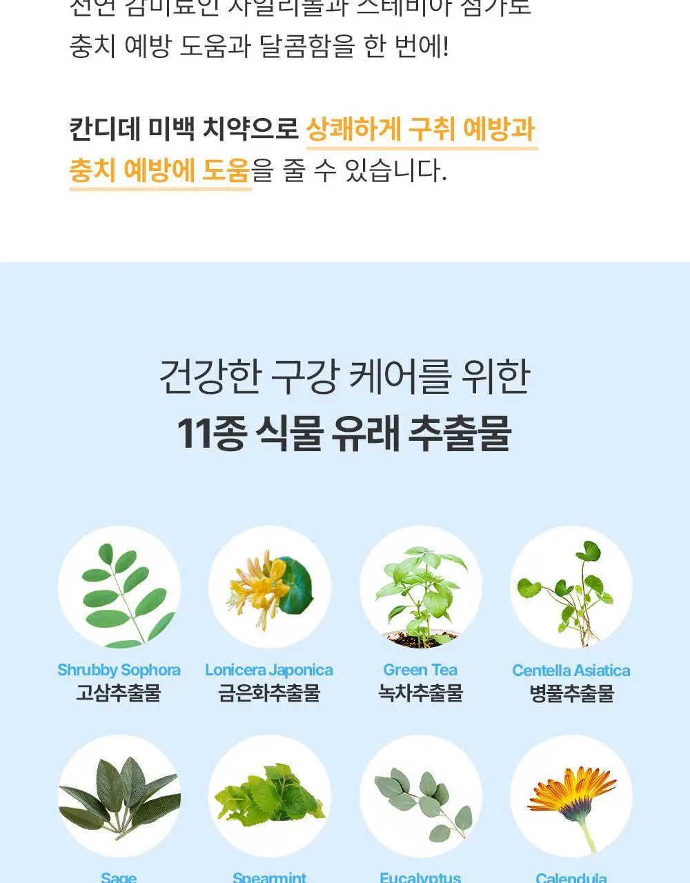[치아미백] 칸디데 화이트케어 치약 100g 상세페이지 23